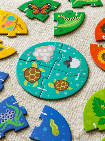 Life Cycle Discovery Puzzle