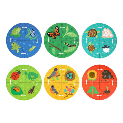 Life Cycle Discovery Puzzle