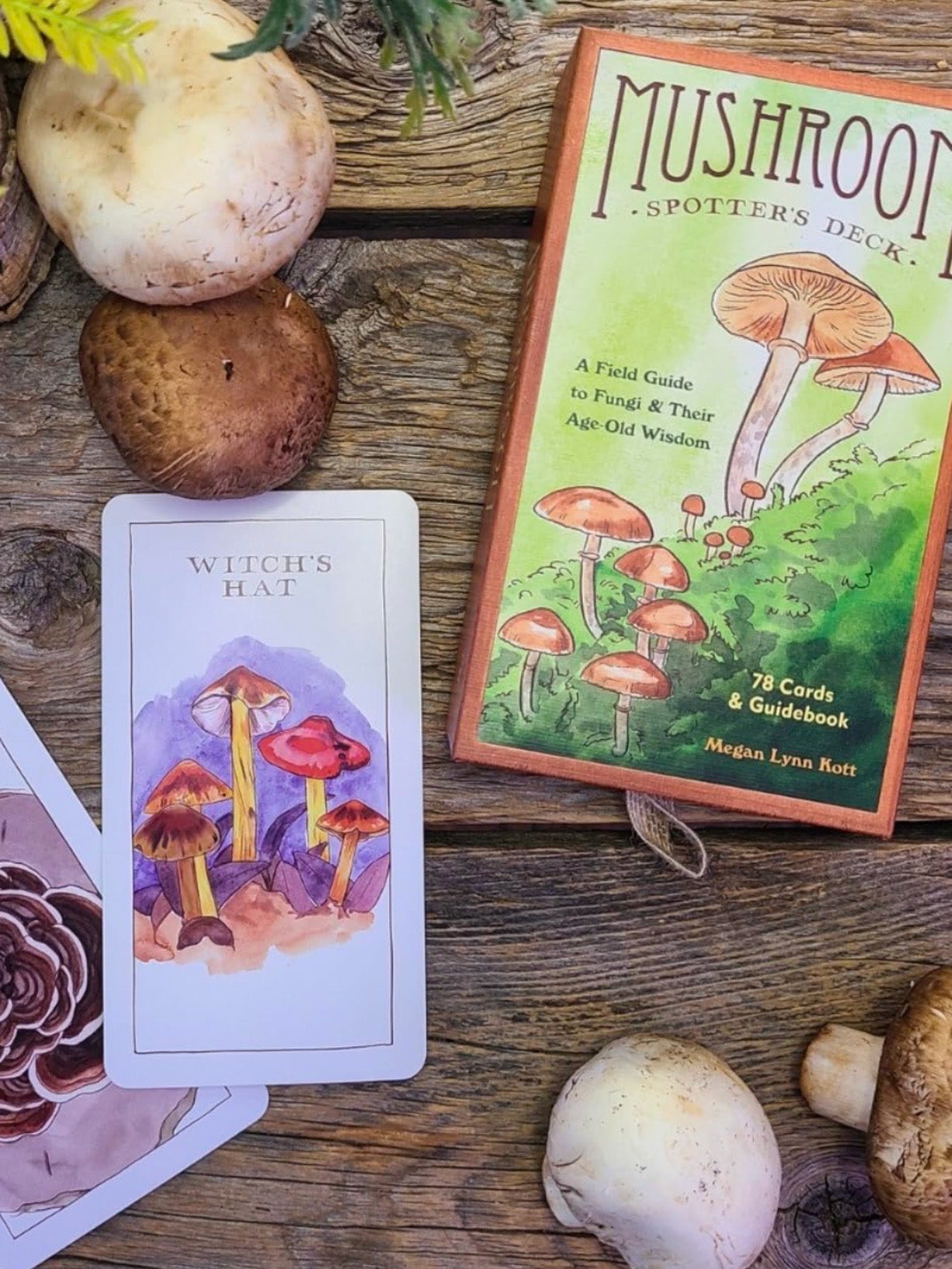 mushroom spotter's deck