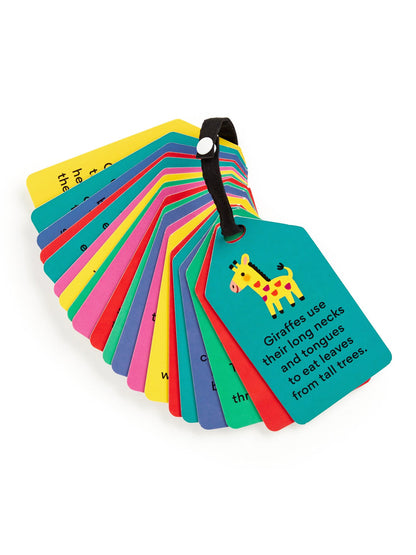 My First Animals Ring Flash Cards