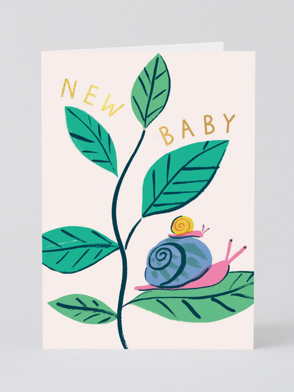 new baby snails card