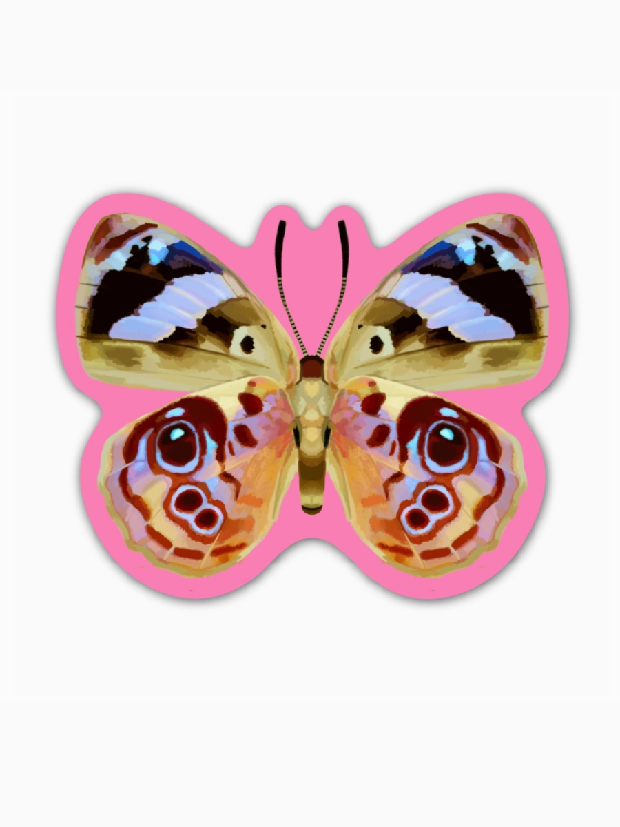 pink butterfly sticker
