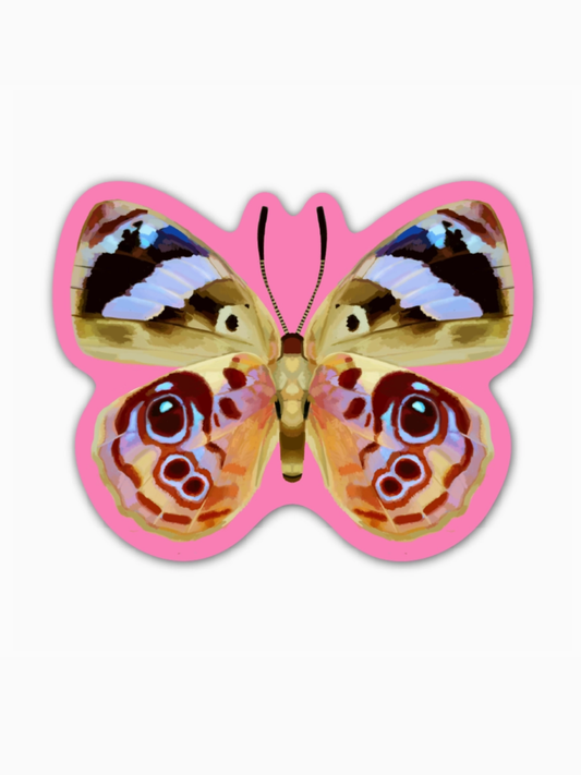 pink butterfly sticker