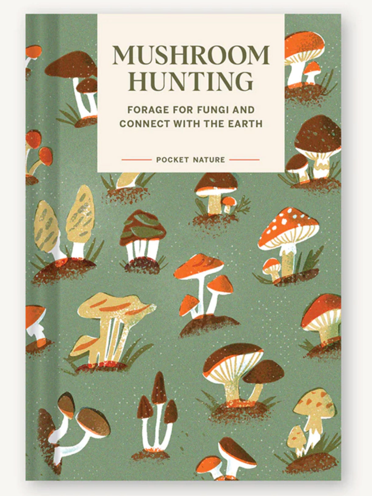 pocket nature: mushroom hunting