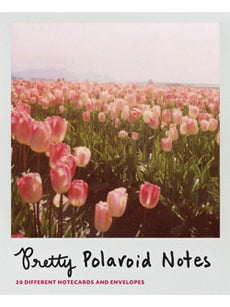Pretty Polaroid Notes: 20 Notecards + Envelopes