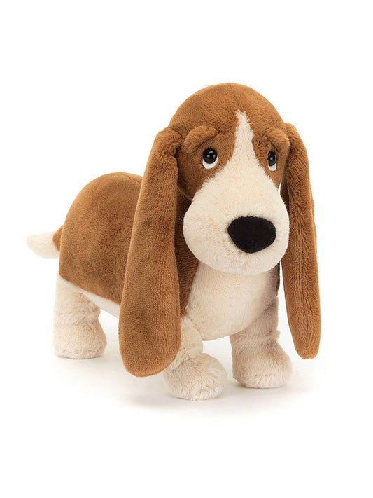 randall basset hound