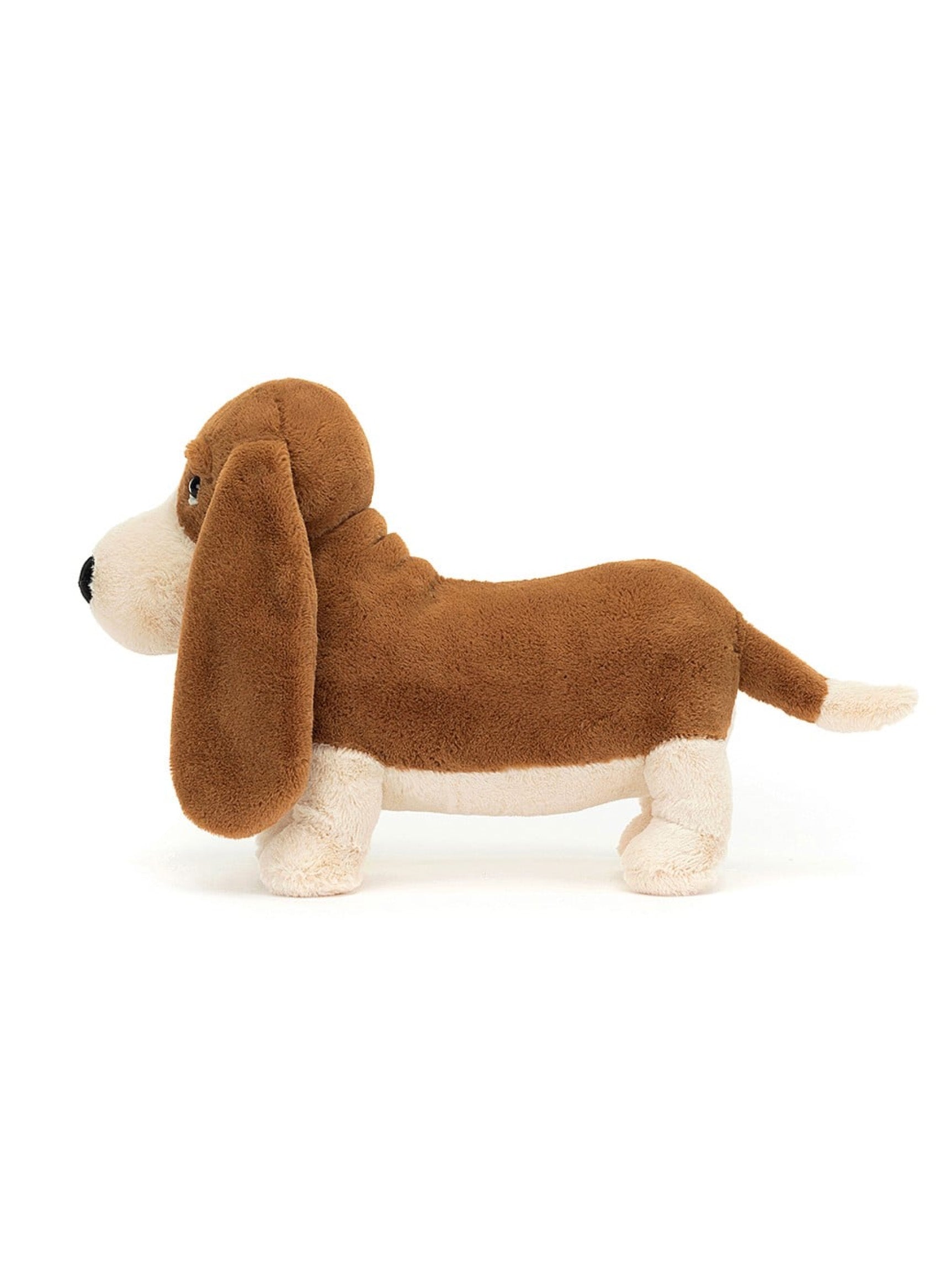 randall basset hound