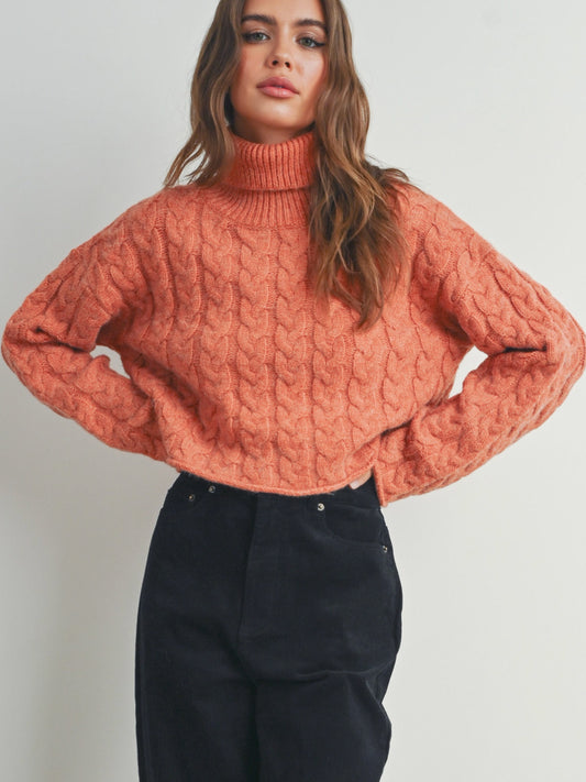 rust cropped turtleneck