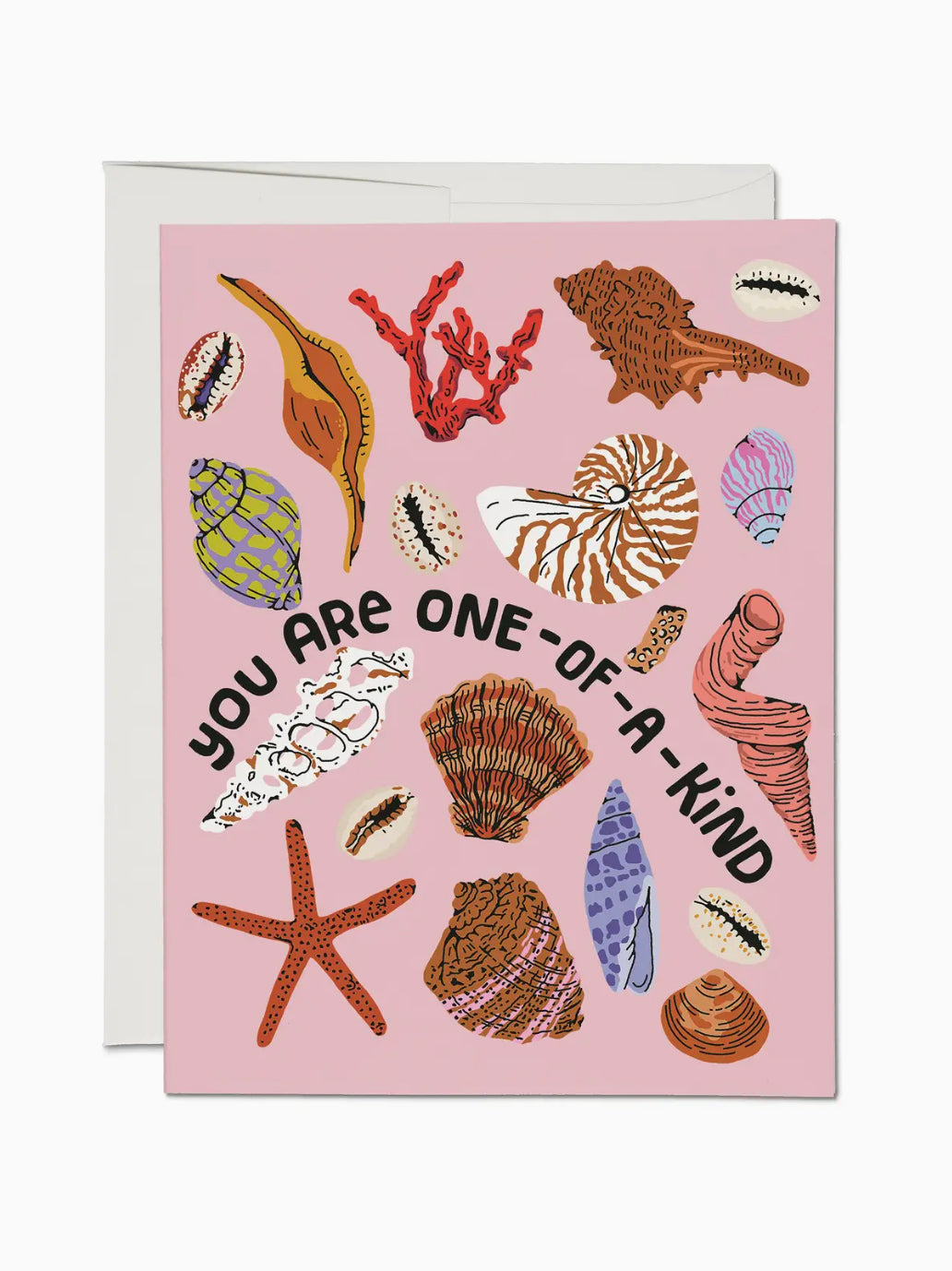 Special Seashell Card
