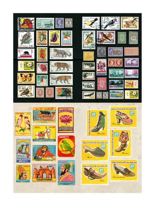 the curious collectibles sticker book