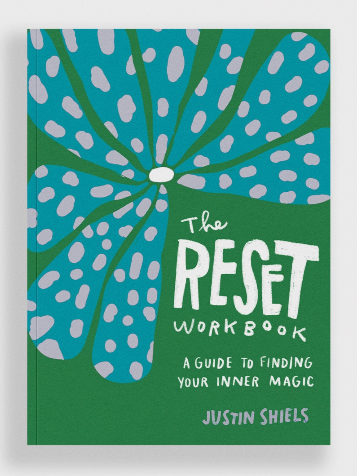 the reset workbook