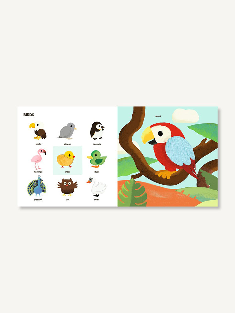 Touch! My Big Touch-and-Feel Word Book