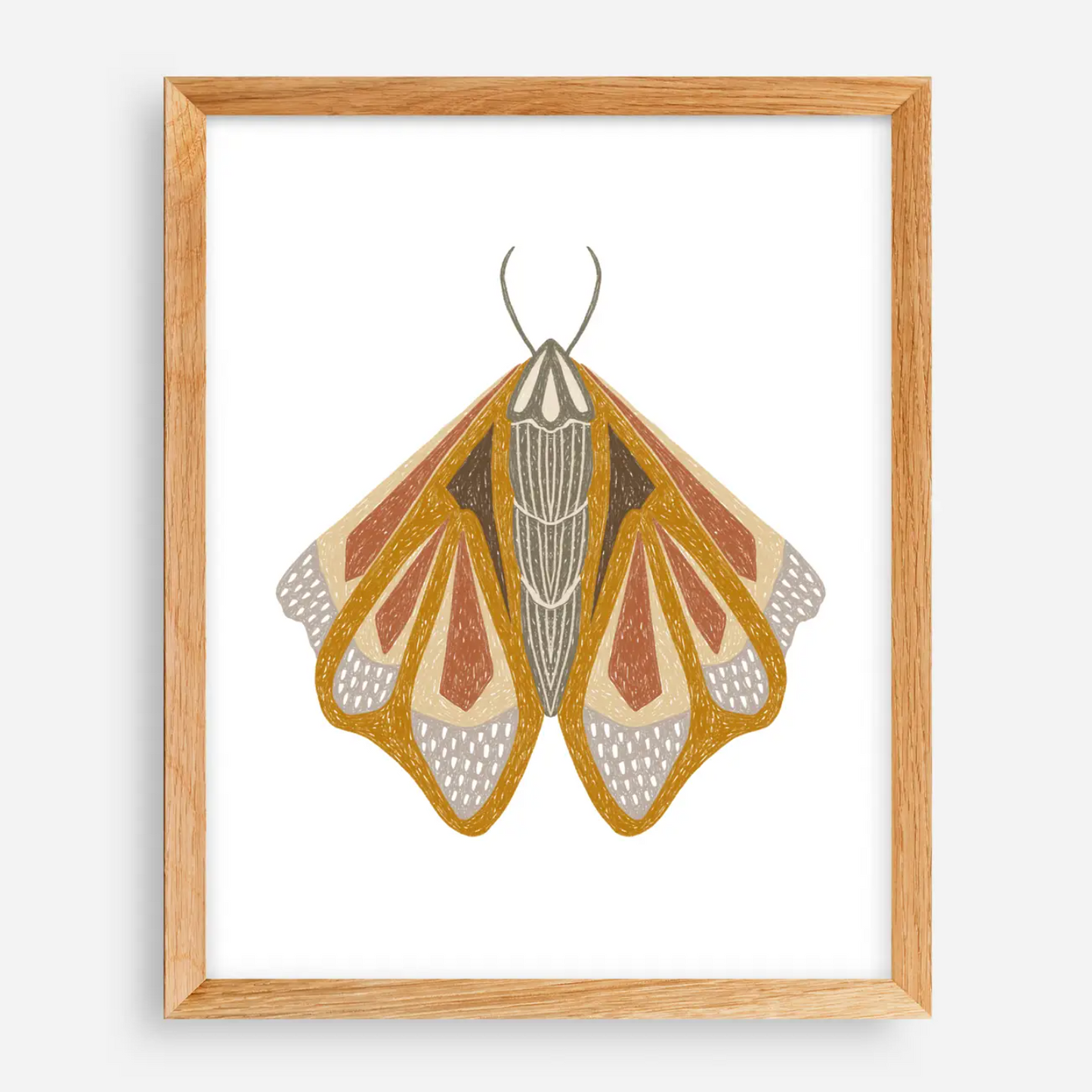 triad moth print