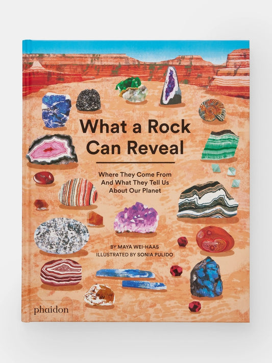 What A Rock Can Reveal