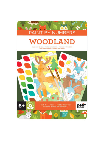Woodland Paint by Numbers